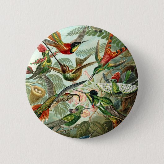 Haeckel Ronde Button 5,7 Cm (Voorkant)