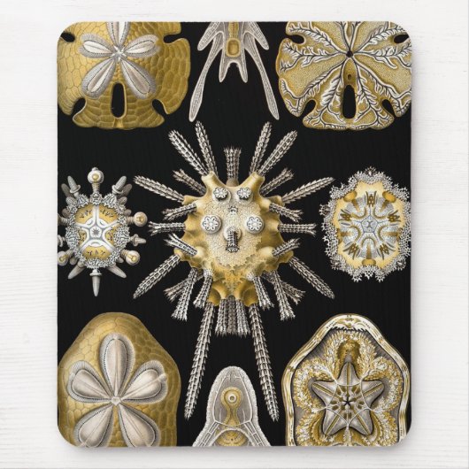 Haeckel Sealife Muismat (Voorkant)