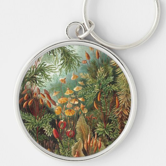 Haeckel Sleutelhanger (Voorkant)