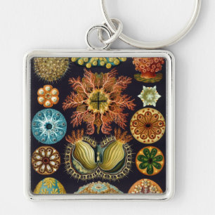 Haeckel Sleutelhanger