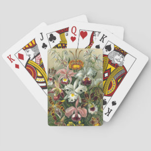 Haeckel Speelkaarten