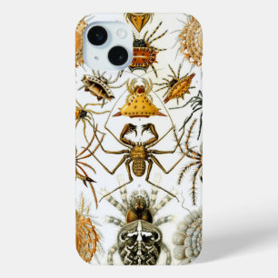 Haeckel Spiders iPhone 15 Mini Hoesje