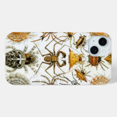 Haeckel Spiders Case-Mate iPhone Case (Achterkant (horizontaal))