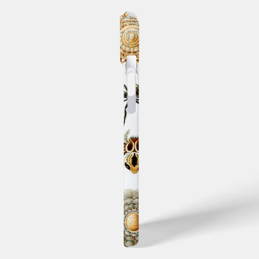 Haeckel Spiders Case-Mate iPhone Case (Achterkant / Links)