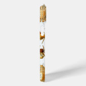 Haeckel Spiders Case-Mate iPhone Case (Achterkant / Rechts)