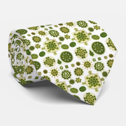 Haeckel Stropdas (Opgerold)