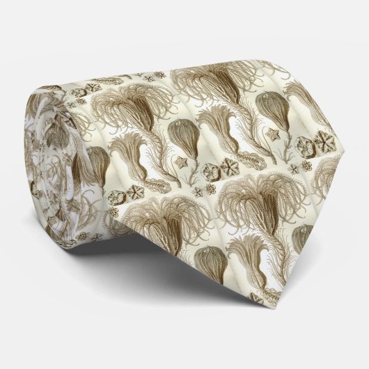 Haeckel Stropdas (Opgerold)