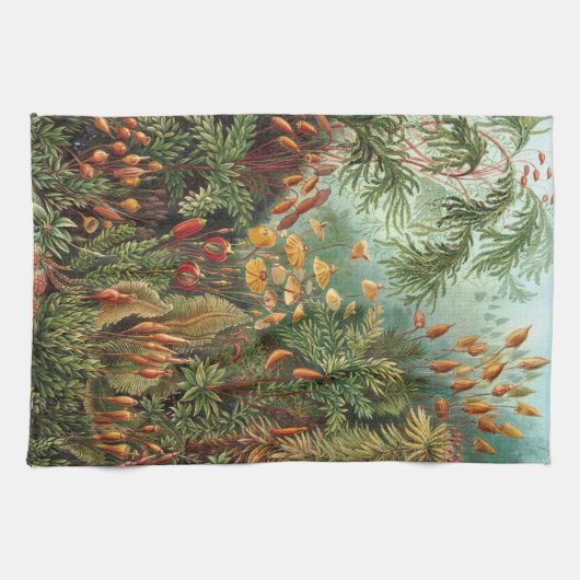 Haeckel Theedoek (Horizontaal)