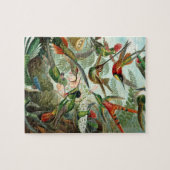 Haeckel Trochilidae Legpuzzel (Horizontaal)