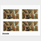 Haeckel Turtles Rechthoekige Sticker (Vel)