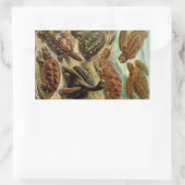 Haeckel Turtles Rechthoekige Sticker (Tas)