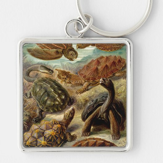 Haeckel Turtles Sleutelhanger (Voorkant)