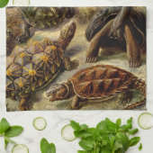 Haeckel Turtles Theedoek (Gevouwen)