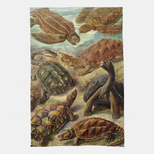Haeckel Turtles Theedoek (Verticaal)