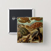 Haeckel Turtles Vierkante Button 5,1 Cm (Voorkant /achterkant)