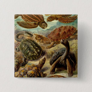 Haeckel Turtles Vierkante Button 5,1 Cm
