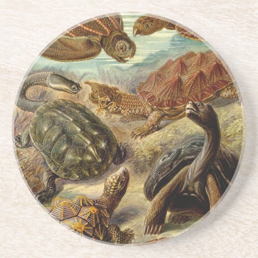 Haeckel Turtles Zandsteen Onderzetter (Voorkant)