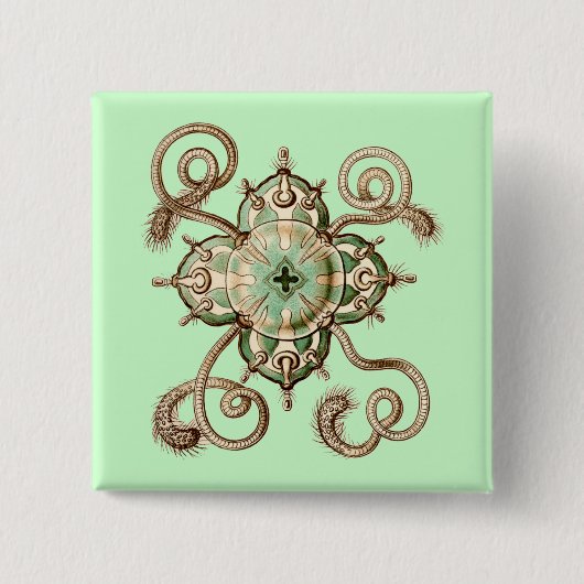 Haeckel Vierkante Button 5,1 Cm (Voorkant)