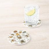 Haeckel Zandsteen Onderzetter (Zijkant)