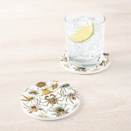 Haeckel Zandsteen Onderzetter (Zijkant)