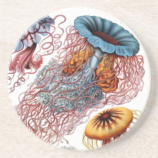 Haeckel Zandsteen Onderzetter (Voorkant)