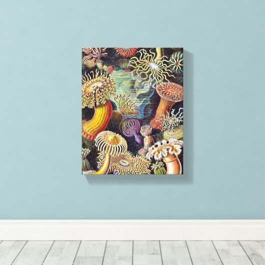 Haeckel Zee Anemone Ocean Life Natuur Kunst Schild Canvas Afdruk (Insitu (Houten vloer))