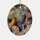 Haeckel Zee Anemone Ocean Life Natuur Kunst Schild Keramisch Ornament (Rechts)