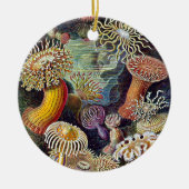 Haeckel Zee Anemone Ocean Life Natuur Kunst Schild Keramisch Ornament (Voorkant)