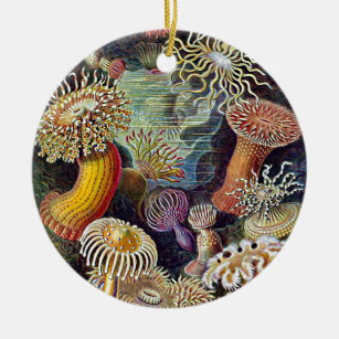 Haeckel Zee Anemone Ocean Life Natuur Kunst Schild Keramisch Ornament