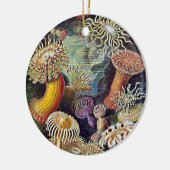 Haeckel Zee Anemone Ocean Life Natuur Kunst Schild Keramisch Ornament (Links)