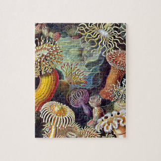 Haeckel Zee Anemone Ocean Life Natuur Kunst Schild Legpuzzel
