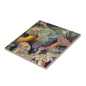 Haeckel Zee Anemone Ocean Life Natuur Kunst Schild Tegeltje (Zijkant)