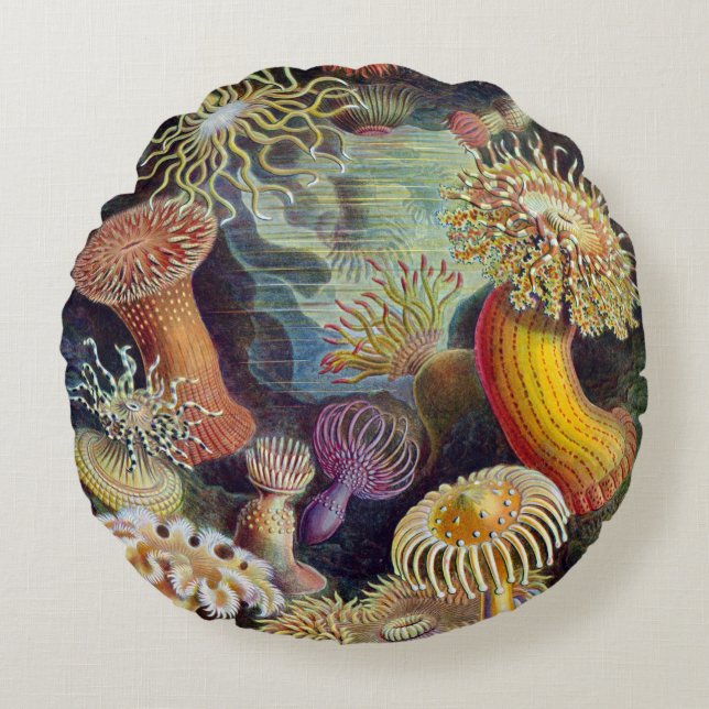 Haeckel ~ Zee Anemones Cushions Rond Kussen (Voorkant)