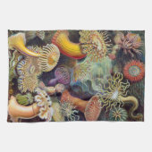 Haeckel Zee Urchins Theedoek (Horizontaal)
