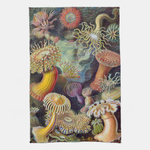 Haeckel Zee Urchins Theedoek