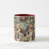 Haeckel Zeeanemonen Nautische Zeeleven Kunst Colla Mok (Midden)