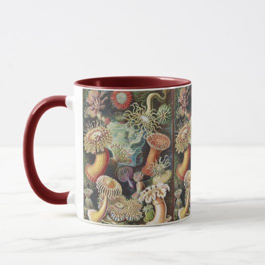 Haeckel Zeeanemonen Nautische Zeeleven Kunst Colla Mok (Links)