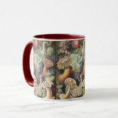 Haeckel Zeeanemonen Nautische Zeeleven Kunst Colla Mok (Voorkant links)