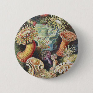Haeckel Zeeanemonen Nautische Zeeleven Kunst Colla Ronde Button 5,7 Cm