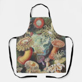Haeckel Zeeanemonen Nautische Zeeleven Kunst Colla Schort (Voorkant)
