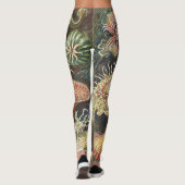 Haeckel Zeeanemonen Scheepvaart Zeeleven Kunst Col Leggings (Achterkant)
