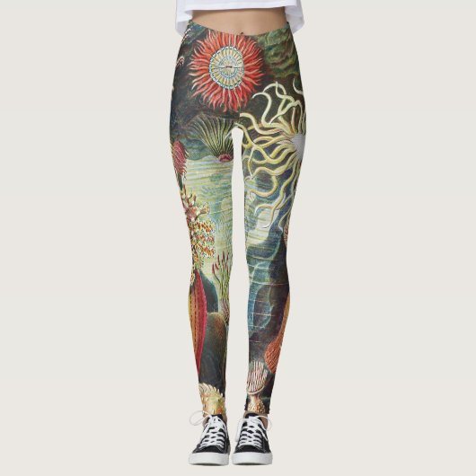 Haeckel Zeeanemonen Scheepvaart Zeeleven Kunst Col Leggings (Voorkant)