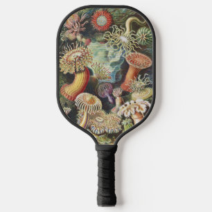 Haeckel Zeeanemonen Scheepvaart Zeeleven Kunst Col Pickleball Paddle