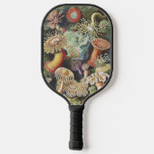 Haeckel Zeeanemonen Scheepvaart Zeeleven Kunst Col Pickleball Paddle (Achterkant)