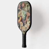 Haeckel Zeeanemonen Scheepvaart Zeeleven Kunst Col Pickleball Paddle (Links)