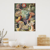 Haeckel Zeeanemonen Scheepvaart Zeeleven Kunst Col Poster (Keuken)