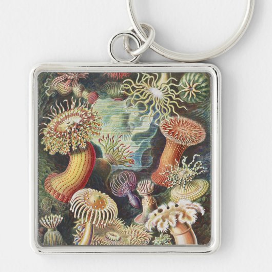 Haeckel Zeeanemonen Scheepvaart Zeeleven Kunst Col Sleutelhanger (Voorkant)