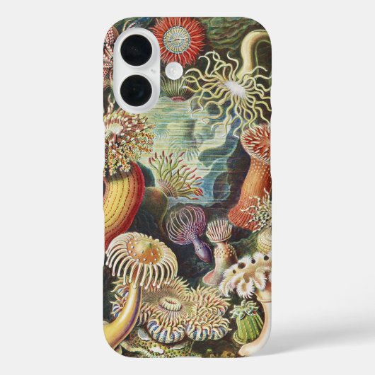 Haeckel Zeeanemonen Zeevaart Zeeleven Kunst Collag Case-Mate iPhone Case (Achterkant)