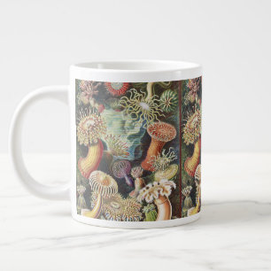 Haeckel Zeeanemonen Zeevaart Zeeleven Kunst Collag Grote Koffiekop