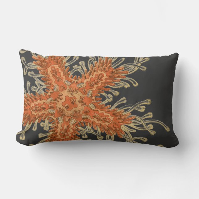 Haeckel  zeemacht kussen (Voorkant)